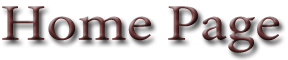 2006andreamvinyl Homepage Logo